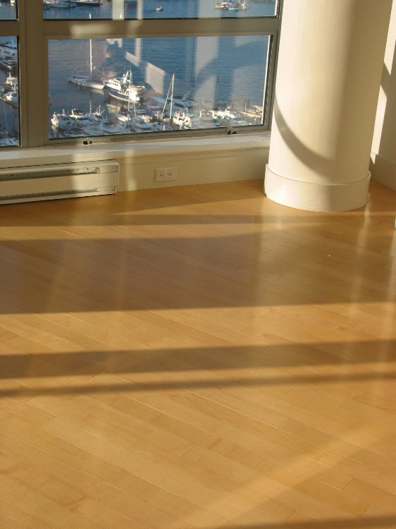 hardwoodfloors.jpg
